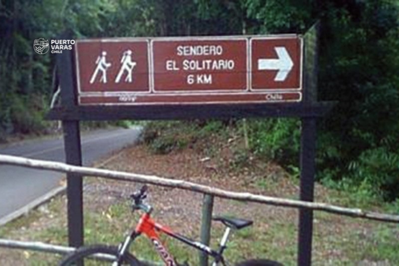 Sendero de Trekking en Puerto Varas : El solitario