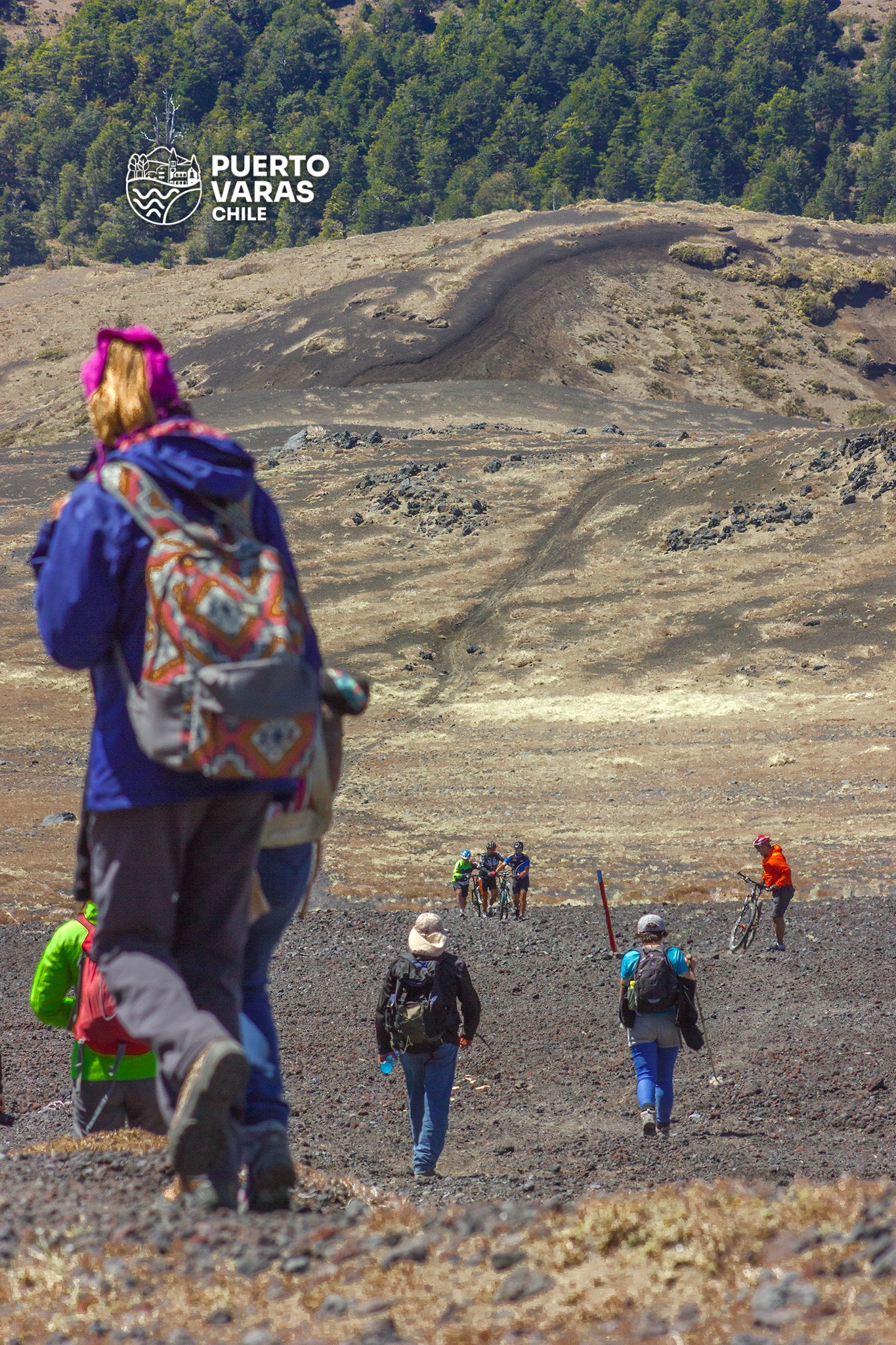Sendero Trekking en Puerto Varas :  Paso Desolación