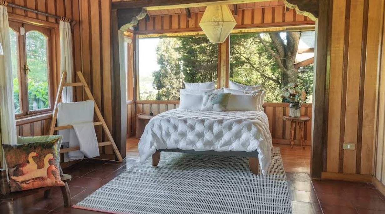 La casa de los Gansos